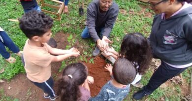 Escola municipal de Ribeirão Pires transforma reunião de pais em experiência de conexão com a natureza