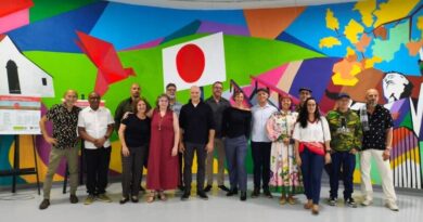 Exposição coletiva DOMO reúne 33 artistas na Pinacoteca de Ribeirão Pires