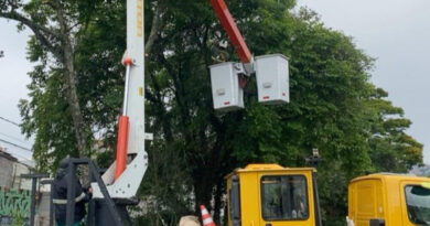 Podas preventivas de árvores são intensificadas no Jardim Santa Lídia