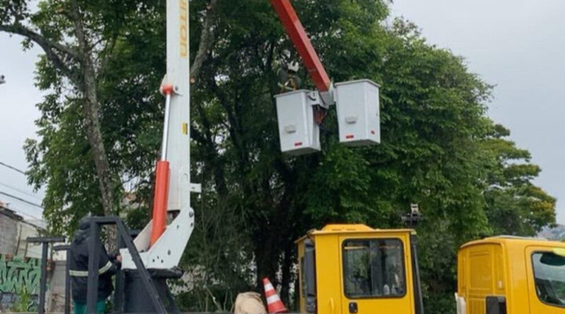 Podas preventivas de árvores são intensificadas no Jardim Santa Lídia