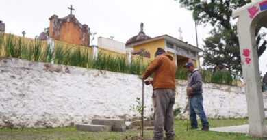 Revitalização do Cemitério São José avança com foco na arborização e na recuperação do espaço