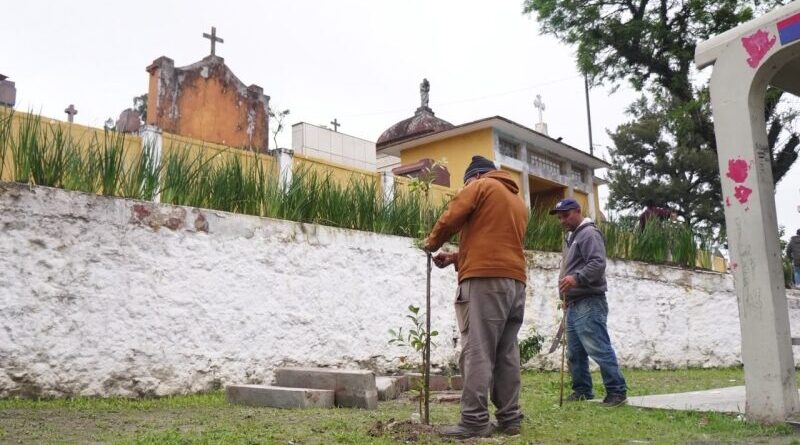 Revitalização do Cemitério São José avança com foco na arborização e na recuperação do espaço
