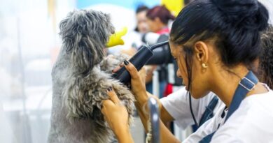 Ribeirão Pires abre inscrições para curso gratuito de Banho e Tosa