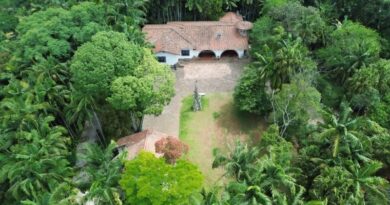 Ribeirão Pires recebe 2ª edição do Florescer Circular neste sábado (24)